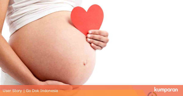 Sel Telur Yang Sudah Dibuahi Akan Menempel Pada | Seputar Buah
